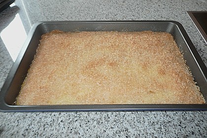 Buttermilch-Kokos-Kuchen 59