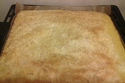 Buttermilch-Kokos-Kuchen 92