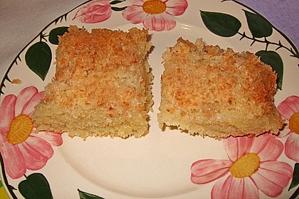Buttermilch-Kokos-Kuchen 19