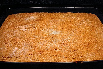 Buttermilch-Kokos-Kuchen 36