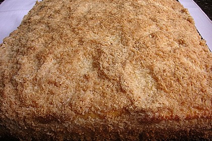 Buttermilch-Kokos-Kuchen 47