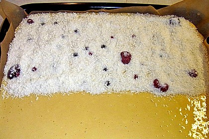 Buttermilch-Kokos-Kuchen 77