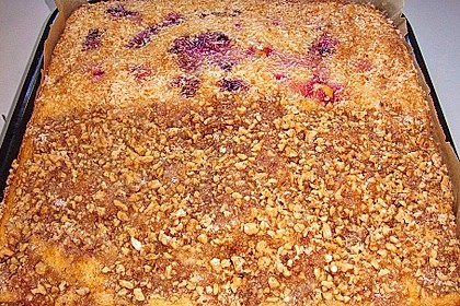 Buttermilch-Kokos-Kuchen 43