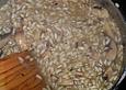 Champignon - Risotto