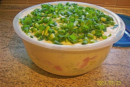 Schichtsalat 3