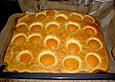 Aprikosenkuchen