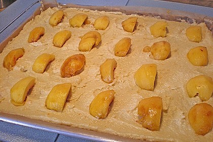 Aprikosenkuchen 1