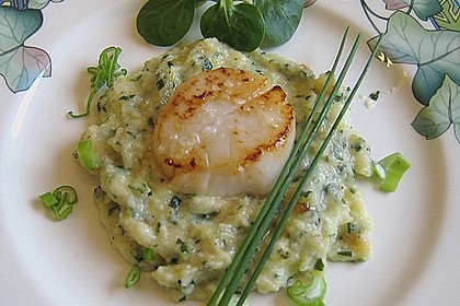 Jakobsmuscheln&uuml;sschen auf Kartoffel - Kohlrabi - P&uuml;ree