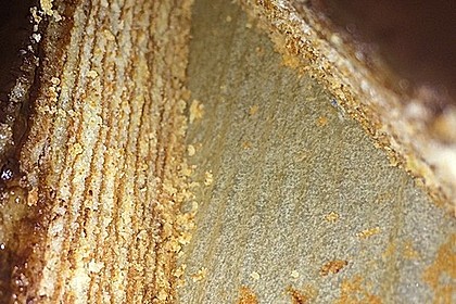 Baumkuchen 113