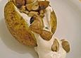 Baked Potato mit  Sour Cream und  Champignons