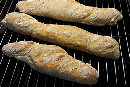 Baguette Parisienne 17