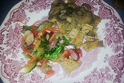 Putenbrust Stroganoff 16
