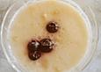 Buttermilchdessert