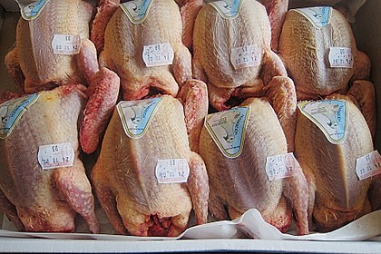 Zweierlei von der Taube auf Julienne von M&ouml;hren und Zuckerschoten