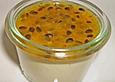 Kokos - Panna cotta mit Maracujasauce