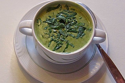 Exzellente Bärlauchsuppe 17
