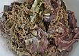 Wildschweinragout mit Gem&uuml;se, Kr&auml;utern und Pflaumen, toskanisches Rezept