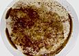 Milchreis mit Zucker, Zimt und brauner Butter