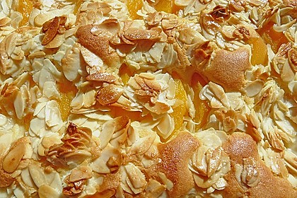 Aprikosen - Mandel - Kuchen 1