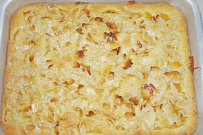 Aprikosen - Mandel - Kuchen 2