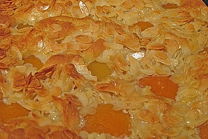 Aprikosen - Mandel - Kuchen 3