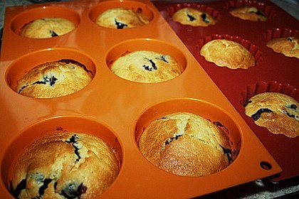 Blueberry - Sauerrahm - Muffins 20