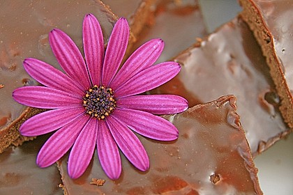 Brownies 21