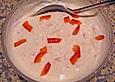 Paprikaquarkcreme