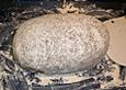 Bratkartoffelbrot