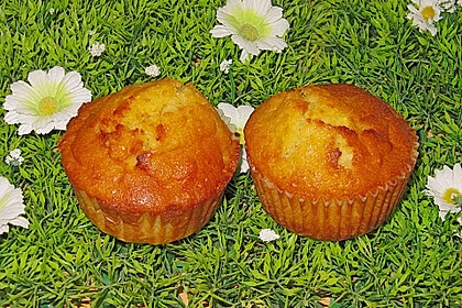 Zitronen - Kokos - Apfel - Muffins 1