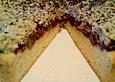 Kirschkuchen mit Nussbaiser