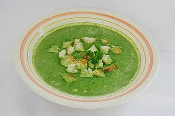Kalte Spinat-Käse-Suppe