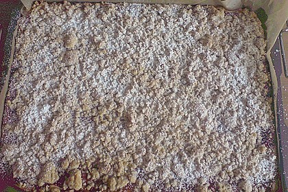 Prasselkuchen 18