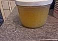 Orangen - Limonen - Marmelade