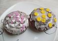 Schoko - Krokant Muffins