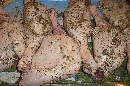 Gänsekeulen 22