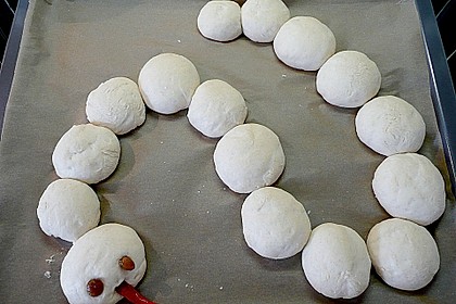 Tatzelwurm 63