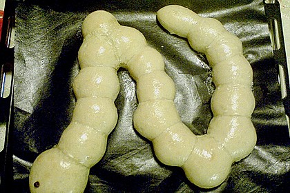 Tatzelwurm 88