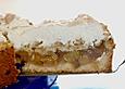 Rhabarberkuchen mit Streuseln und Schmandcreme