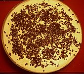 Bananenquarkspeise (Bild)