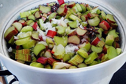 Rhabarbersaft aus dem Dampfentsafter