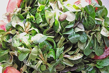 Salatsauce mit K&uuml;rbiskern&ouml;l f&uuml;r Blattsalate 4
