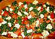 Tomaten - Spinat - Lasagne