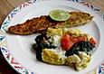 Zanderfilet mit Parmesan - Kr&auml;uterkruste