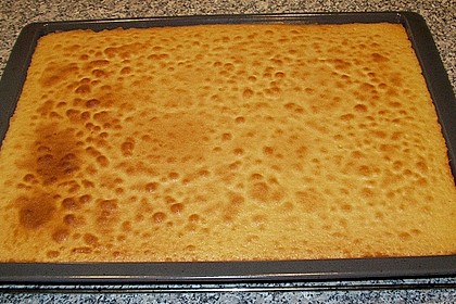 Obstbodenteig f&uuml;r ein Backblech 3