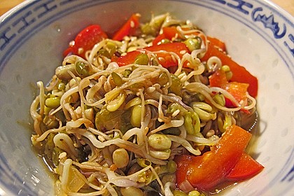 Mungosprossen - Salat 1