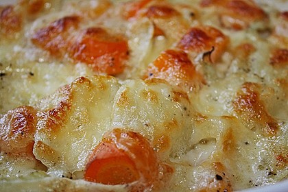 Fenchel überbacken 7