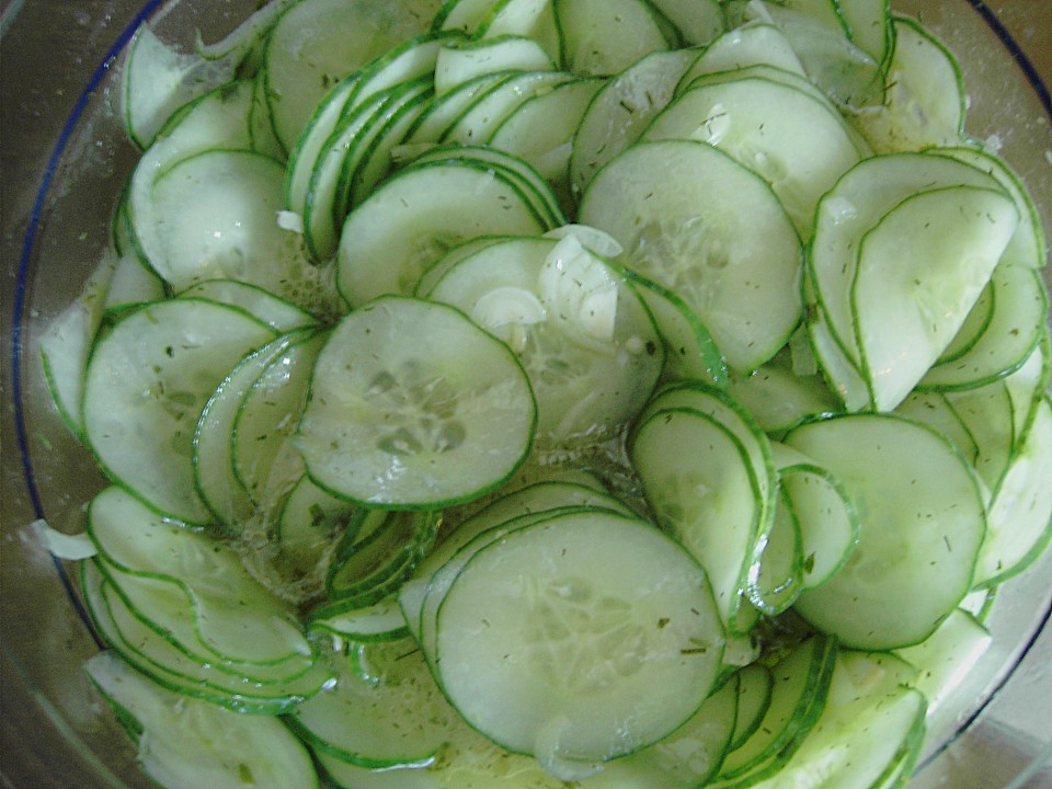 Rezept backofen: Gurkensalat rezepte