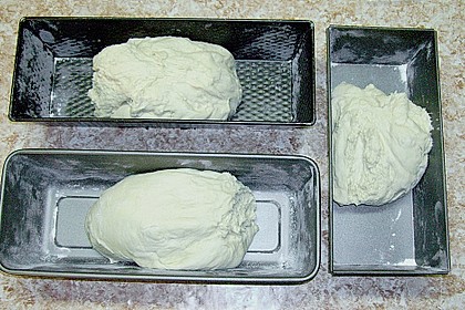 Ciabatta 16