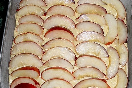Obstkuchen 4
